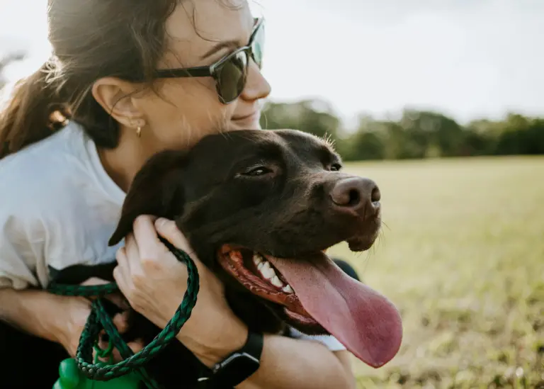 Dueño con su perro - guía de costos reales de tener un perro en Chile